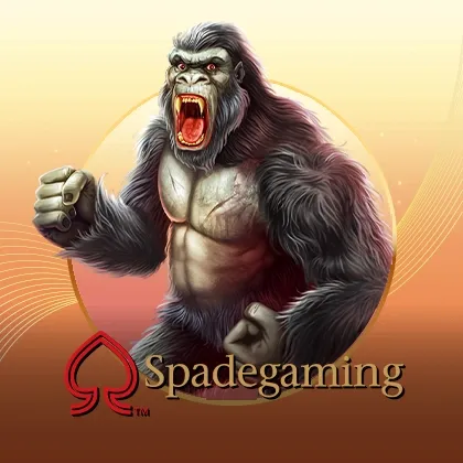 game (13)